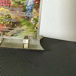 Pokemon TCG Sprigatito 196/193 Sv02 Paldea Evolved Illustration Rare Holo 2023 - Image 5