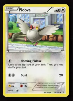 Pidove 78/108 Normal Pokemon TCG XY - Roaring Skies MP - Image 1