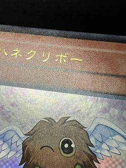 Winged Kuriboh GX1-JP002 Ultra Rare YuGiOh from Japan - Image 5