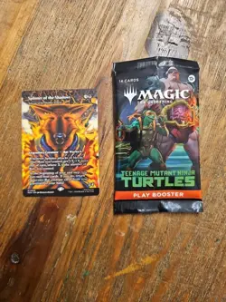 MTG Splinter of the Shadows - Ashcoat of the Shadow Swarm (Borderless) - TMNT - Image 1