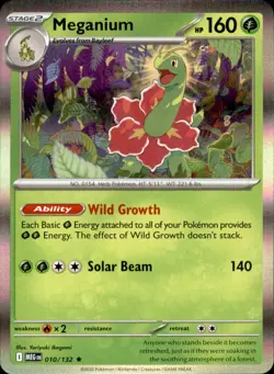 Meganium 010/132 Holo Rare - Pokemon ME01: Mega Evolution NM - Image 1
