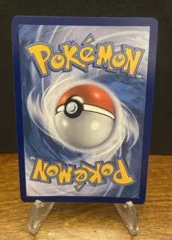 SWSH: Sword & Shield Black Star Promo Card #SWSH234 Pikachu - Image 2