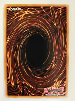 Yu-Gi-Oh! Monster Reborn - TN19-EN011 - Limited Edition - Prismatic Secret Rare - Image 2