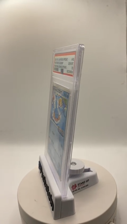 2005 Pokemon Japanese Promo Pokepark Grand Opening #48 Pokepark's Mudkip PSA 10 - Image 2