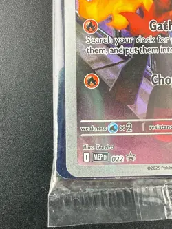 Pokemon TCG Charcadet 022 Phantasmal Flames SEALED Black Star Promo NM - Image 5