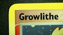 Growlithe 55/92 Stamped Pokemon Legend Maker 2005 Vintage Reverse Holo MP/LP - Image 4