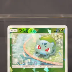 [LP] Bulbasaur 001/150 Holo Pokemon Card TCG Japanese - Image 3