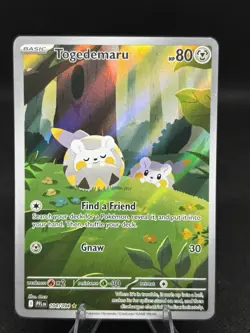 Togedemaru 104/094 Phantasmal Flames Holo Pokemon Card NM - Image 1