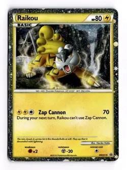 Pokemon Raikou HGSS Promos HGSS19 Promo Holofoil 2010 English Card - Image 1