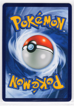 POKEMON RAINBOW BOARDER FAN ART CARD * TOTODILE * CRACKED ICE HOLO - Image 2