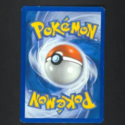 Quilava 36/101 Holo - Dragon Frontiers - Pokemon Card - Image 2