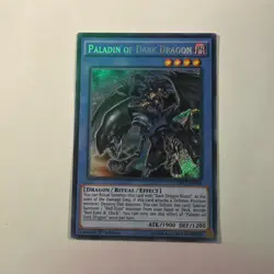 Yugioh Paladin of Dark Dragon DRL2-EN018 Secret Rare 1st Ed NM - Image 1