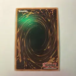 Yugioh Paladin of Dark Dragon DRL2-EN018 Secret Rare 1st Ed NM - Image 2