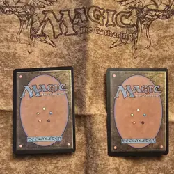 Reanimate Tempest Regular - Image 2