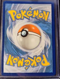Pokemon TCG Raikou Vivid Voltage Holo Card 050/185 #2 - Image 2