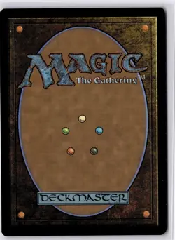 Forest (0511) (First-Place Foil) Aetherdrift Foil NM L 0511 - Image 2