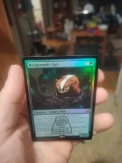 Badgermole Cub Avatar: The Last Airbender Foil - Image 2