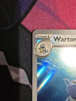 Pokemon TCG Wartortle 171/165 S&V 151 Illustration Rare NM - Image 4