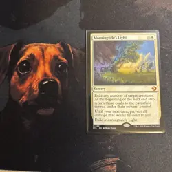 Mtg Morningtide’s Light - Lorwyn Eclipsed + Bonus Foils - Image 1