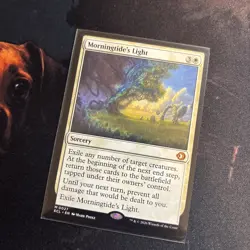 Mtg Morningtide’s Light - Lorwyn Eclipsed + Bonus Foils - Image 2
