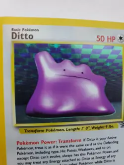 Dito Fossil Holo Pokemon Card Base Jungle WOTC NM U - Image 2