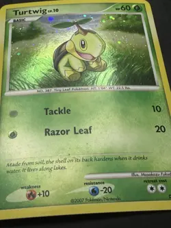 Pokemon TCG Turtwig Lv. 10 DP01 Black Star Promo Diamond + Pearl Holo - Image 3