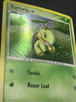 Pokemon TCG Turtwig Lv. 10 DP01 Black Star Promo Diamond + Pearl Holo - Image 4