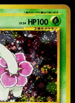 MEGANIUM No.154 NEO PREMIUM FILE 1 JAPANESE POKEMON TCG - Image 3