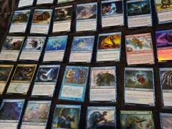 MTG Lot of 50 Creature Cards(SEA CREATURES)NO DOUBLES - Image 5