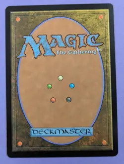 MTG: Ravnica Remastered: Hallowed Fountain Foil Borderless #0295 Rare - NM - Image 2