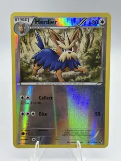 Pokemon TCG Herdier Black and White 82/114 Reverse Holo Uncommon - Image 1