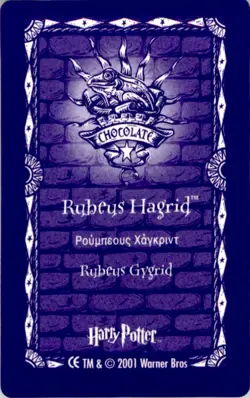 Harry Potter Lenticular Chocolate Frog Card (2001) 1st Series - Rubeus Hagrid - Image 2