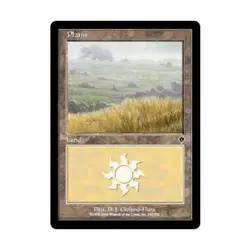 WOTC MtG Invasion Plains #333 (C) (Foil) EX - Image 1