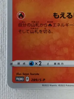 Charmander Promo 289/S-P Pokemon Go Pokemon Card Japanese 2022 (Near Mint) - Image 4