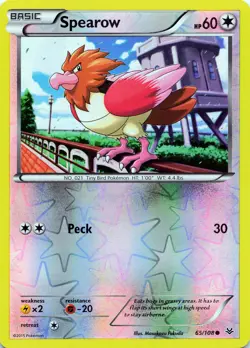 POKEMON Spearow #65/108 Reverse Holo XY - Roaring Skies NM - Image 1