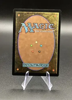 Magic The Gathering 6th Edition KARPLUSAN FOREST Core Set Rare Land - Image 2