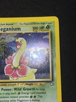 Pokemon TCG Meganium Neo Genesis Holo Unlimited Rare Card 11/111 SWIRL bot left - Image 4