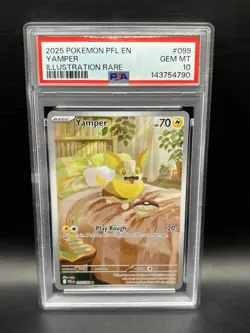 2025 Pokemon Phantasmal Flames Yamper Illustration Rare #099/094 PSA 10 GEM MINT - Image 1