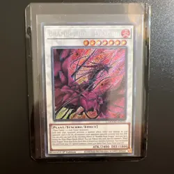 Bramble Rose Dragon - DOOD-EN039 - Secret Rare - 1st Edition - Yugioh - Image 1