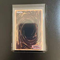 Bramble Rose Dragon - DOOD-EN039 - Secret Rare - 1st Edition - Yugioh - Image 2