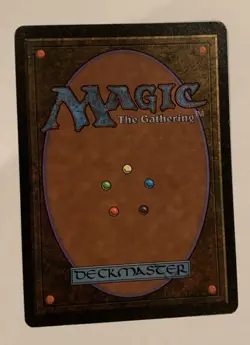 Plains (B) Limited Edition - Beta Edition Regular, Magic The Gathering Card MTG - Image 2