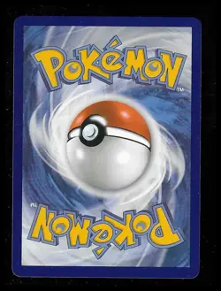 Pokemon First Partner Collection - Sinnoh Starters - Turtwig, Chimchar & Piplup - Image 2