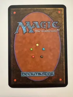 1993 MTG Consecrate Land ALPHA (ID PV43) - Image 2