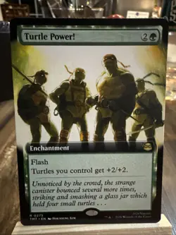 Turtle Power! - 275 - MTG: Teenage Mutant Ninja Turtles - Extended Art - Regular - Image 1