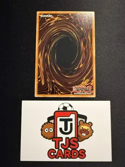 A Hero Lives - Quarter Century Secret Rare RA04-EN087 - YuGiOh - Image 3