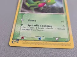 NM Treecko 016 Black Star Promo Pokemon Card NM 2004 nintendo - Image 3