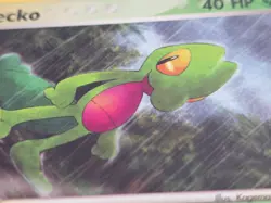 NM Treecko 016 Black Star Promo Pokemon Card NM 2004 nintendo - Image 4