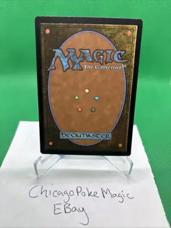 Dawn's Truce (REGULAR) x1 - MTG Bloomburrow BLB #9 - Image 2