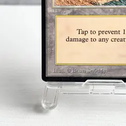 MTG Oasis Arabian Nights 1993 Land Vintage Magic the Gathering - Image 4