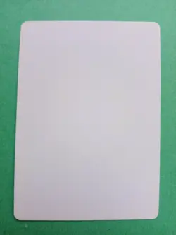 MTG Magic Flicker Signed Artist Proof x1 Urza's Destiny Douglas Shuler - Image 2